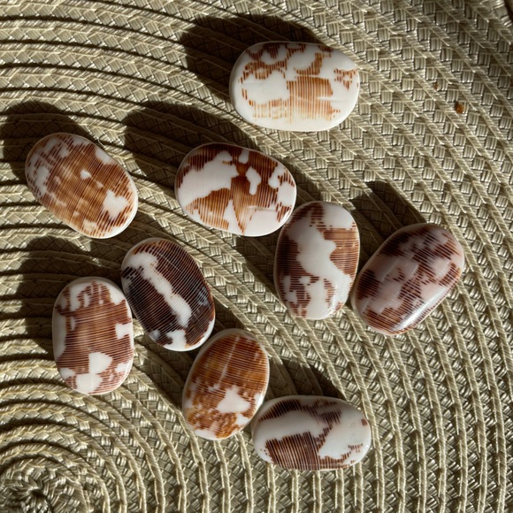 9 Pretty Oblong Brown and White Plastic Beads for Jewelry Craft Making - Picture 2 of 8